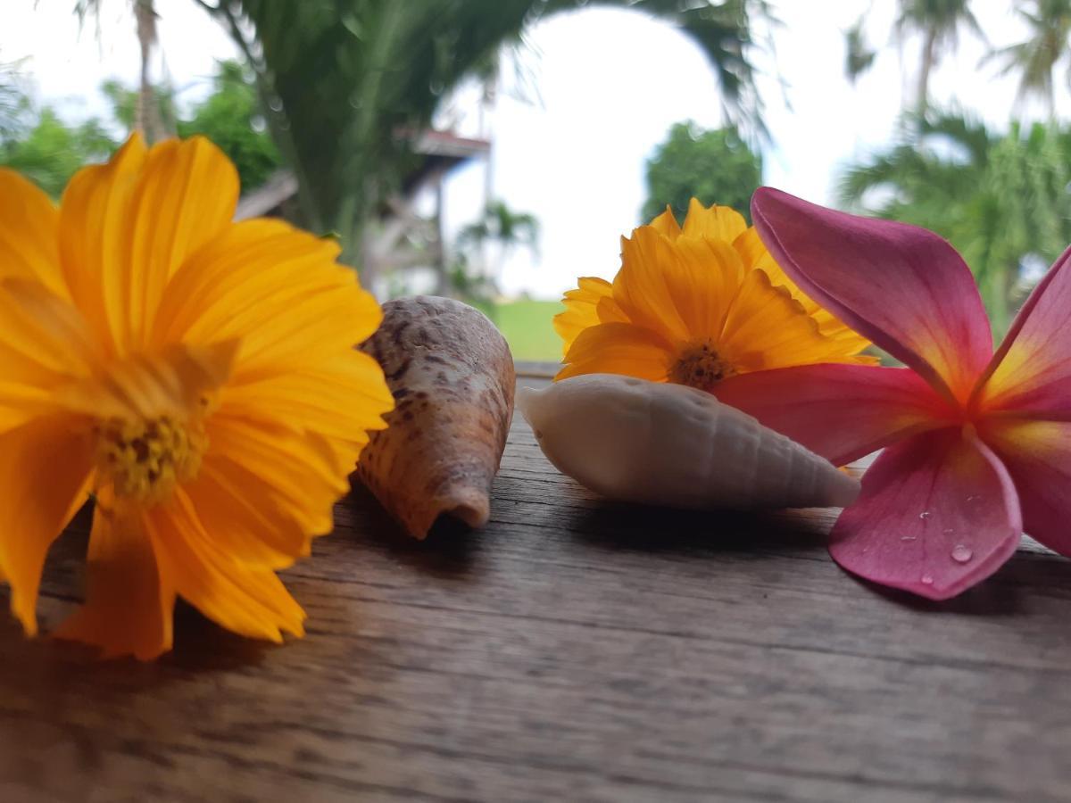 Daluyong Beach Resort General Luna  Eksteriør bilde