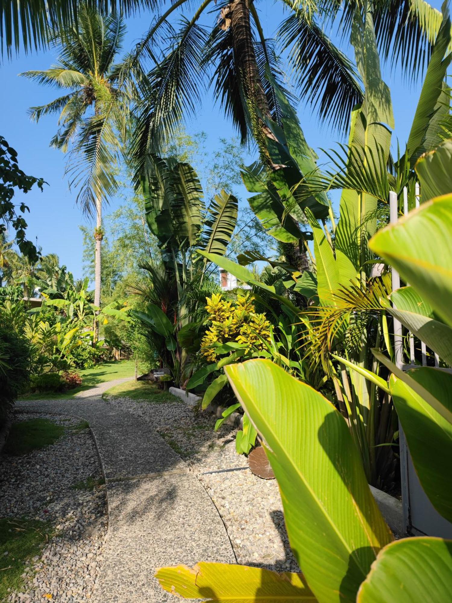 Daluyong Beach Resort General Luna  Eksteriør bilde