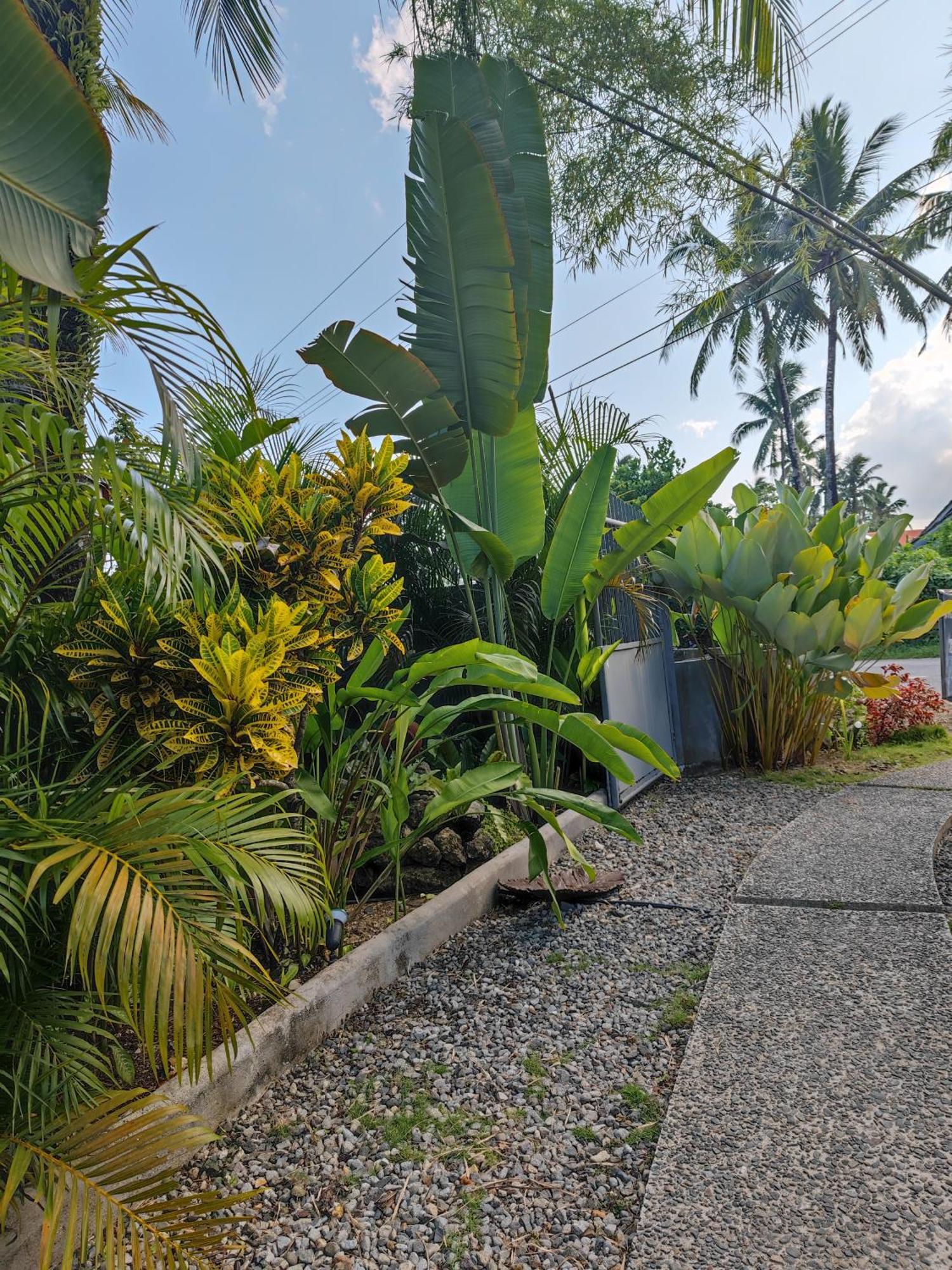 Daluyong Beach Resort General Luna  Eksteriør bilde
