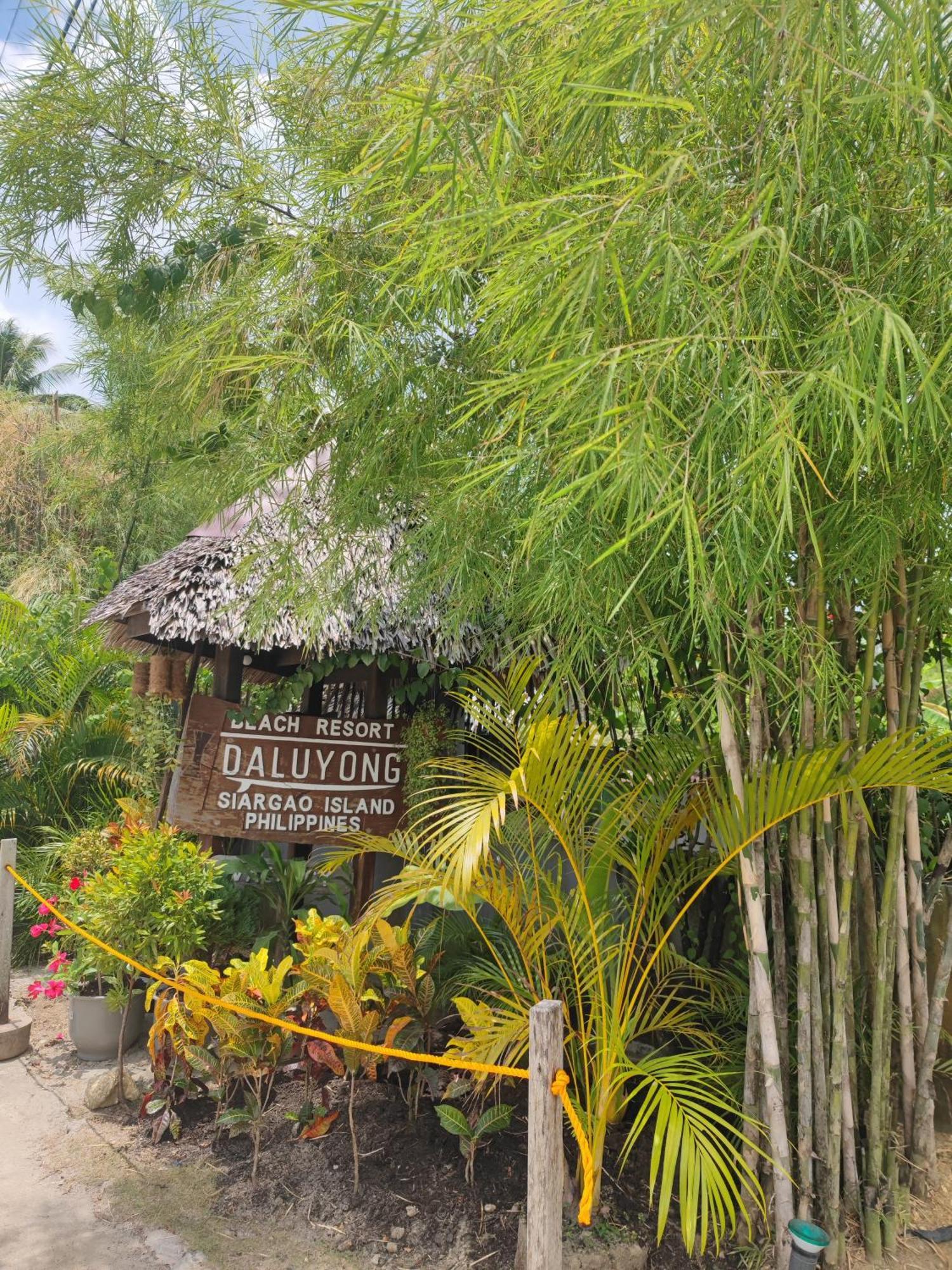 Daluyong Beach Resort General Luna  Eksteriør bilde